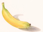 jwaller_banana