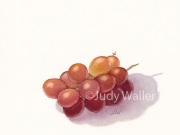 jwaller_grapes