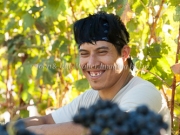 Foon Harvest_09-19-15-8829