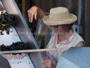 Foon Harvest_09-19-15-8846