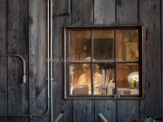 Foon Harvest_09-19-15-8991