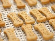 143_GoodDogBonesBakery-9289
