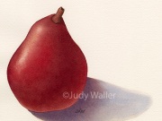 1_jwaller_reallyredpear