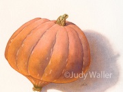 jwaller_goldnugget