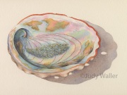 jwaller_motherofpearl