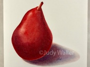 jwaller_newredpear