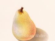 jwaller_orcaspear