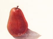 jwaller_redpear
