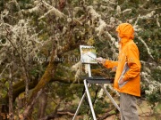 Umpqua-Plein-Air-2015-630