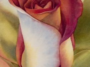jwaller_friendshipisaflower_0